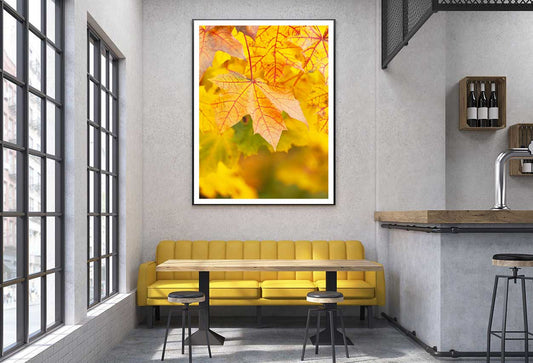 Yellow Red Maple Leaves Closeup View Photograph Home Decor Premium Quality Poster Print Choose Your Sizes