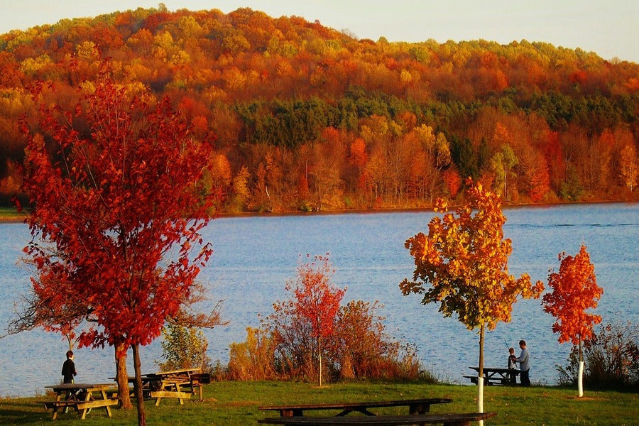 Pennsylvania Fall Foliage & Lake Photograph Print 100% Australian Made