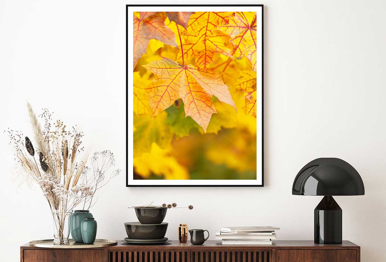 Yellow Red Maple Leaves Closeup View Photograph Home Decor Premium Quality Poster Print Choose Your Sizes