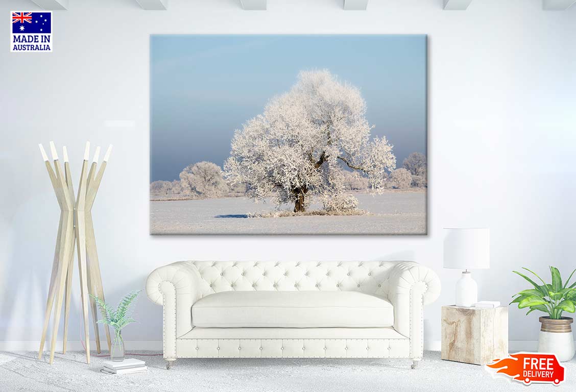 Snow Covered Trees Photograph Print 100% Australian Made