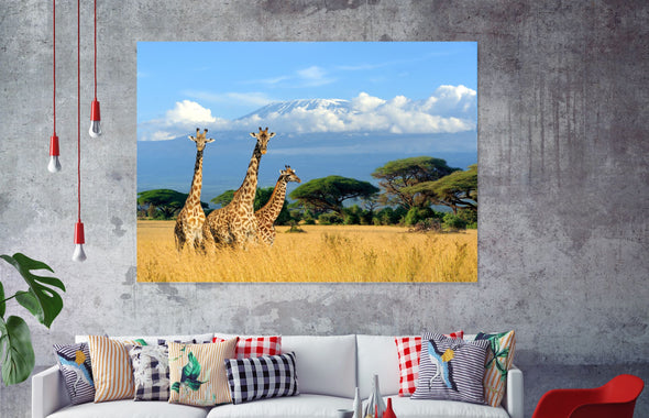 Beautiful Giraffe animal  Print 100% Australian Made