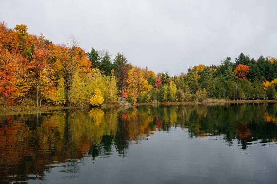 Autumn Forest & Lake View Photograph Print 100% Australian Made