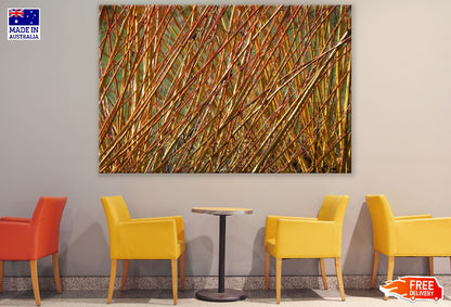 Yellow Branches Of A Willow Tree Photograph Print 100% Australian Made