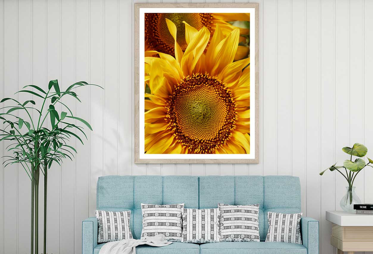 Sunflower Petals with Pollen View Photograph Home Decor Premium Quality Poster Print Choose Your Sizes