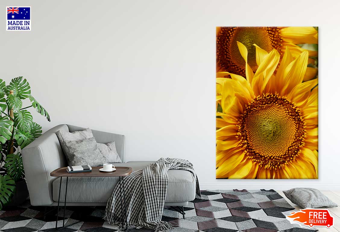 Sunflower Petals with Pollen View Photograph Print 100% Australian Made