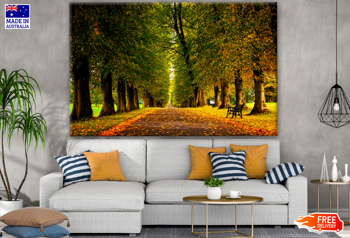 Beautiful Autumn Tree Forest Natural Scenery Photograph Print 100% Australian Made