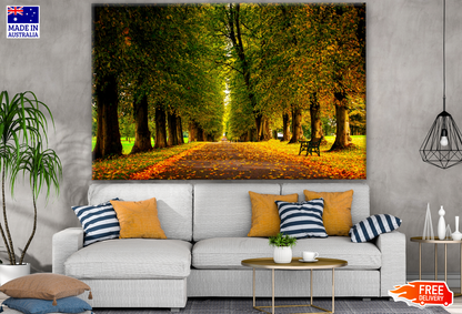 Beautiful Autumn Tree Forest Natural Scenery Photograph Print 100% Australian Made