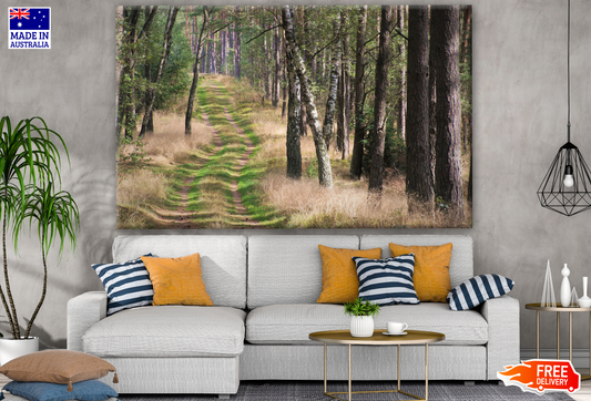 Stunning Road Between Forest Photograph Print 100% Australian Made