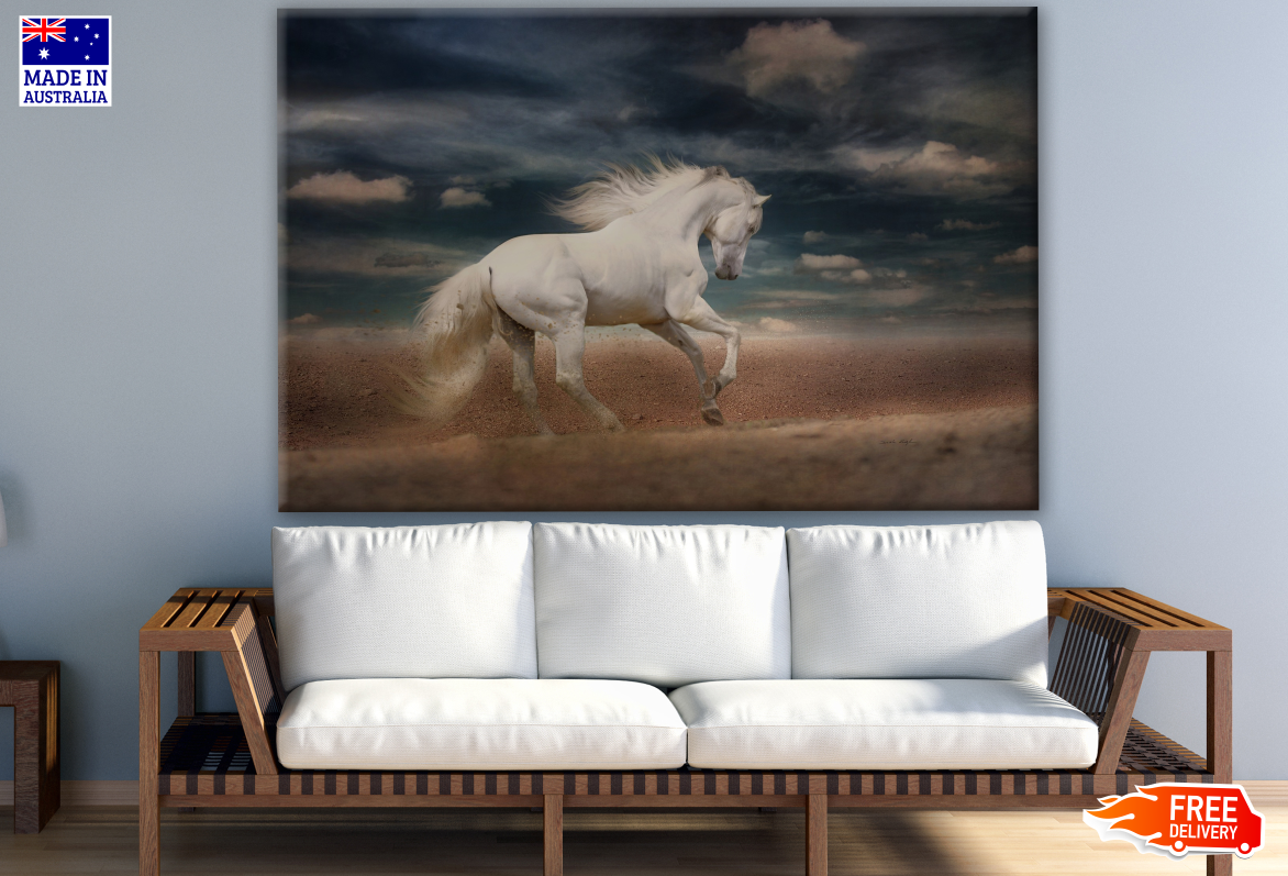 White Horse Running Photograph Print 100% Australian Made