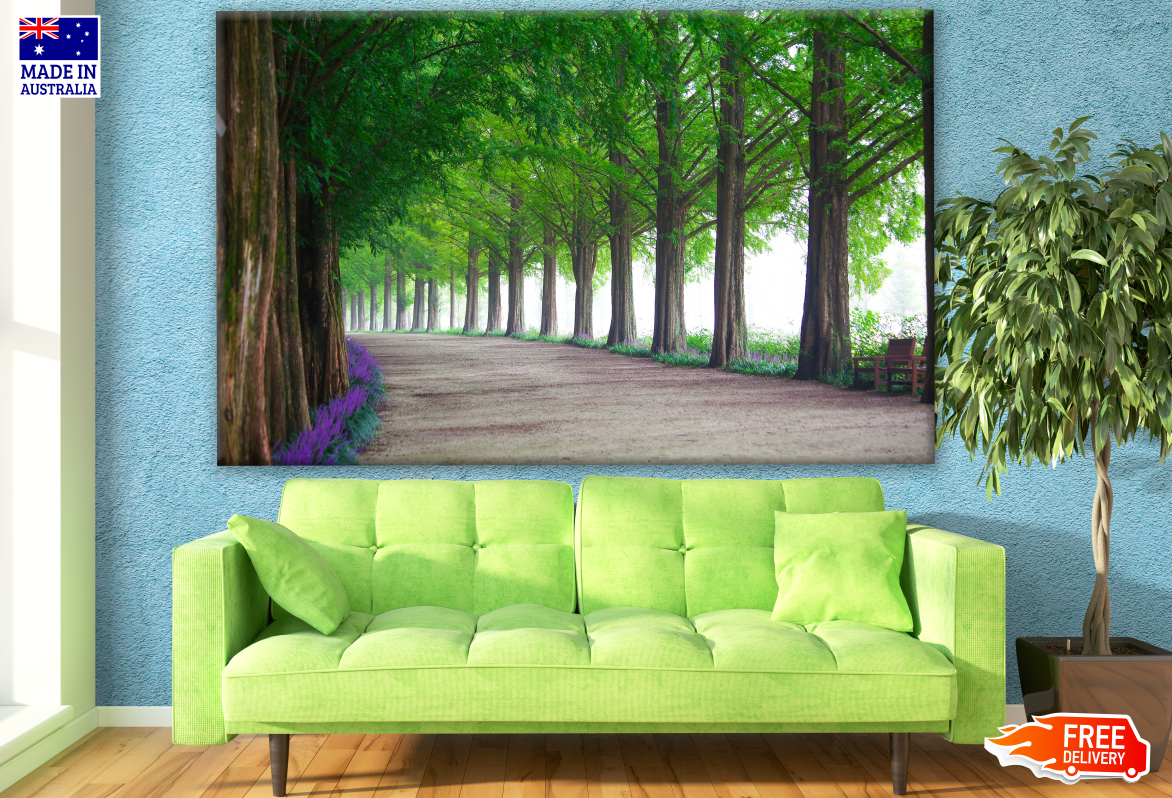 Stunning Tree Row View With Road Photograph Print 100% Australian Made