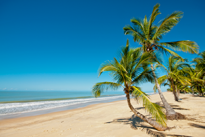 Sea Sky & Palm Trees View Photograph Print 100% Australian Made