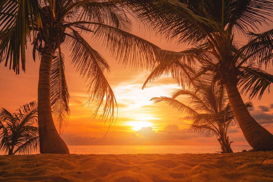 Sea Shore with Palm Trees Sunset Photograph Print 100% Australian Made