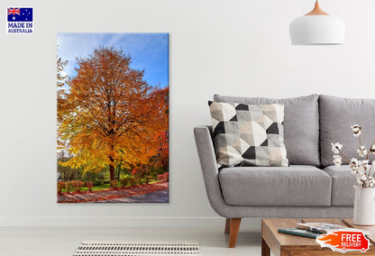 Autumn Orange & Red Tree View Photograph Print 100% Australian Made