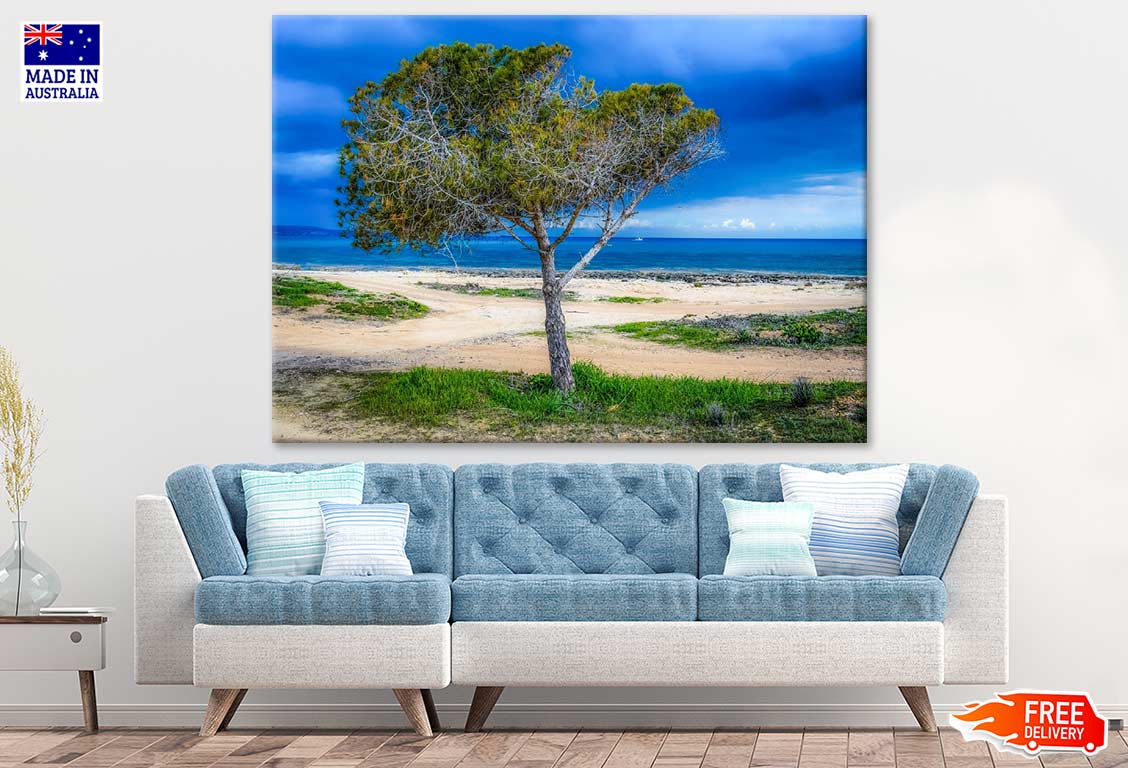 Tree & Sea Scenery Photograph Print 100% Australian Made