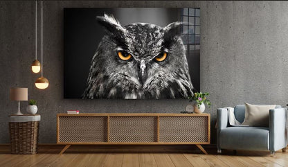 Yellow Eyes Owl B&W Print Tempered Glass Wall Art 100% Made in Australia Ready to Hang