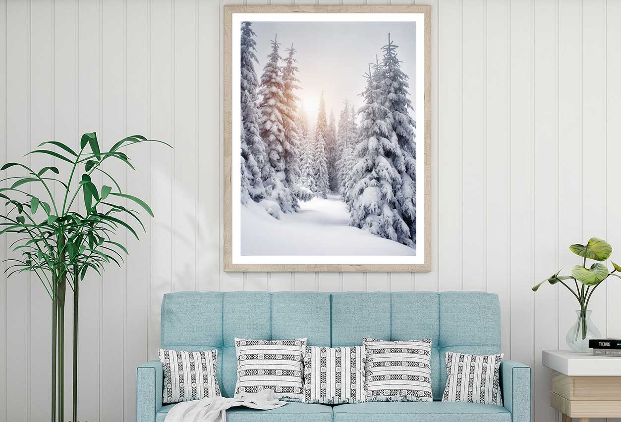 Snow Covered Pine Trees Sunset View Photograph Home Decor Premium Quality Poster Print Choose Your Sizes
