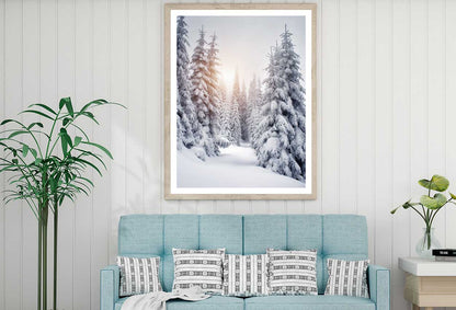 Snow Covered Pine Trees Sunset View Photograph Home Decor Premium Quality Poster Print Choose Your Sizes