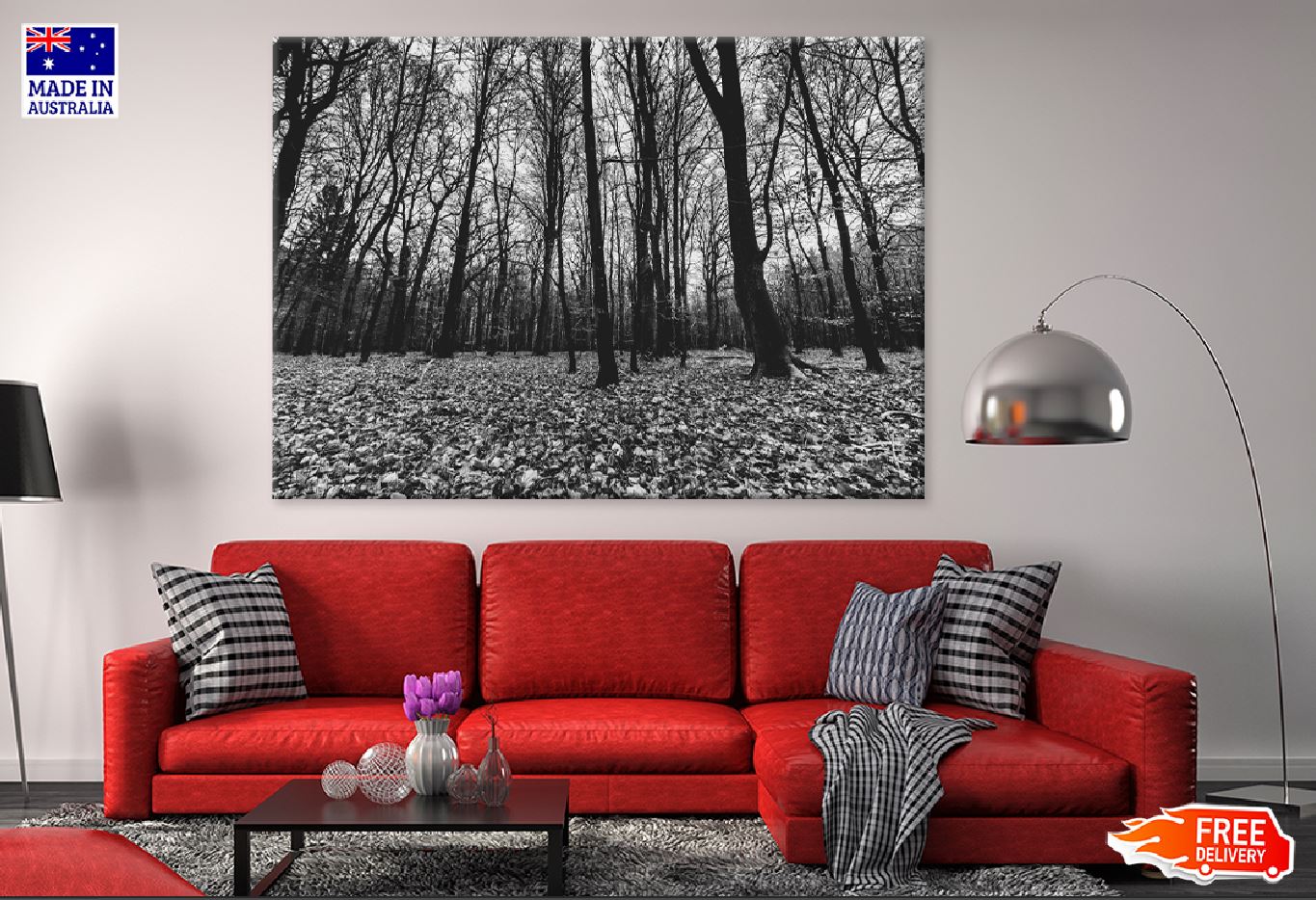 Creepy Forest B&W View Photograph Print 100% Australian Made