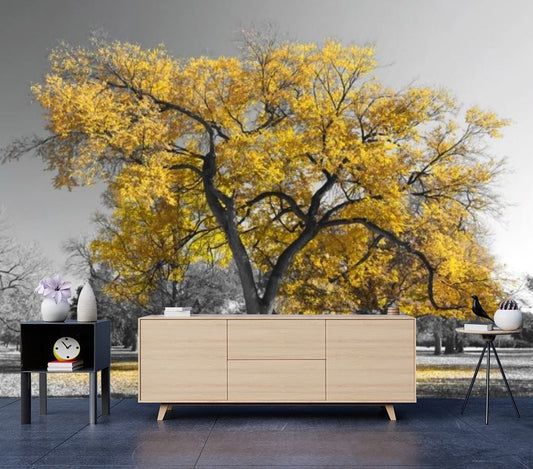 Wallpaper Murals Peel and Stick Removable Yellow Leafy tree in B&W Background Photograph High Quality