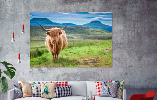 Highland cow Print 100% Australian Made