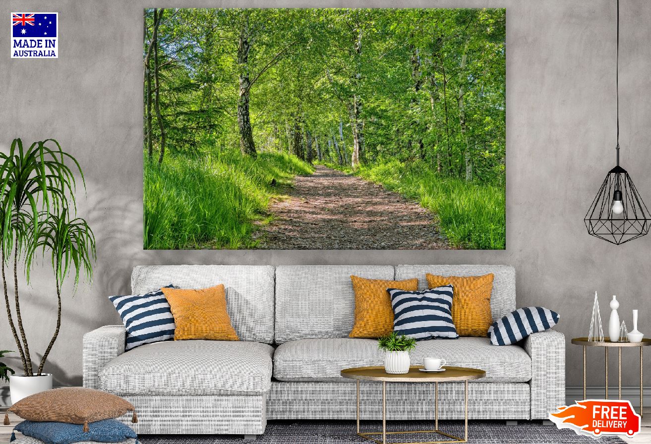 Green Forest & Pathway Photograph Print 100% Australian Made