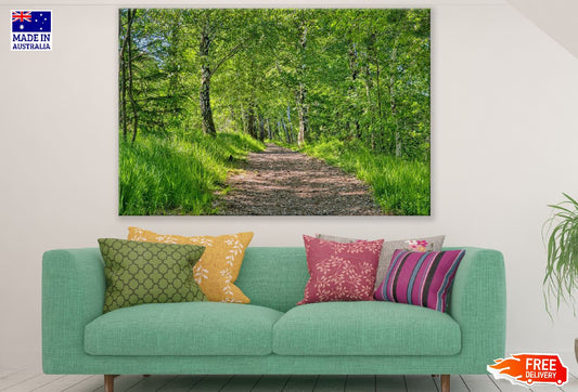 Green Forest & Pathway Photograph Print 100% Australian Made