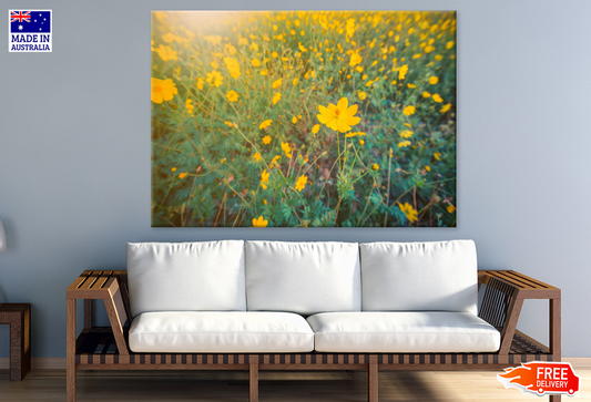 Yellow Flowers Photograph Print 100% Australian Made