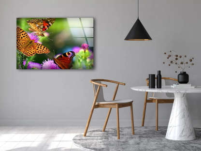 Butterflies on Flowers Photograph Acrylic Glass Print Tempered Glass Wall Art 100% Made in Australia Ready to Hang