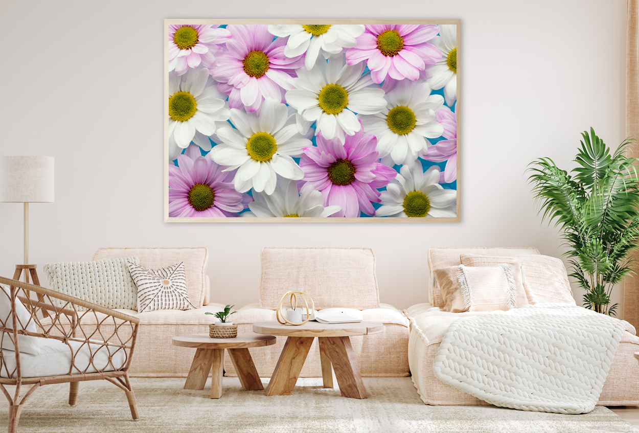 White & Pink Soft Flower Photograph Home Decor Premium Quality Poster Print Choose Your Sizes