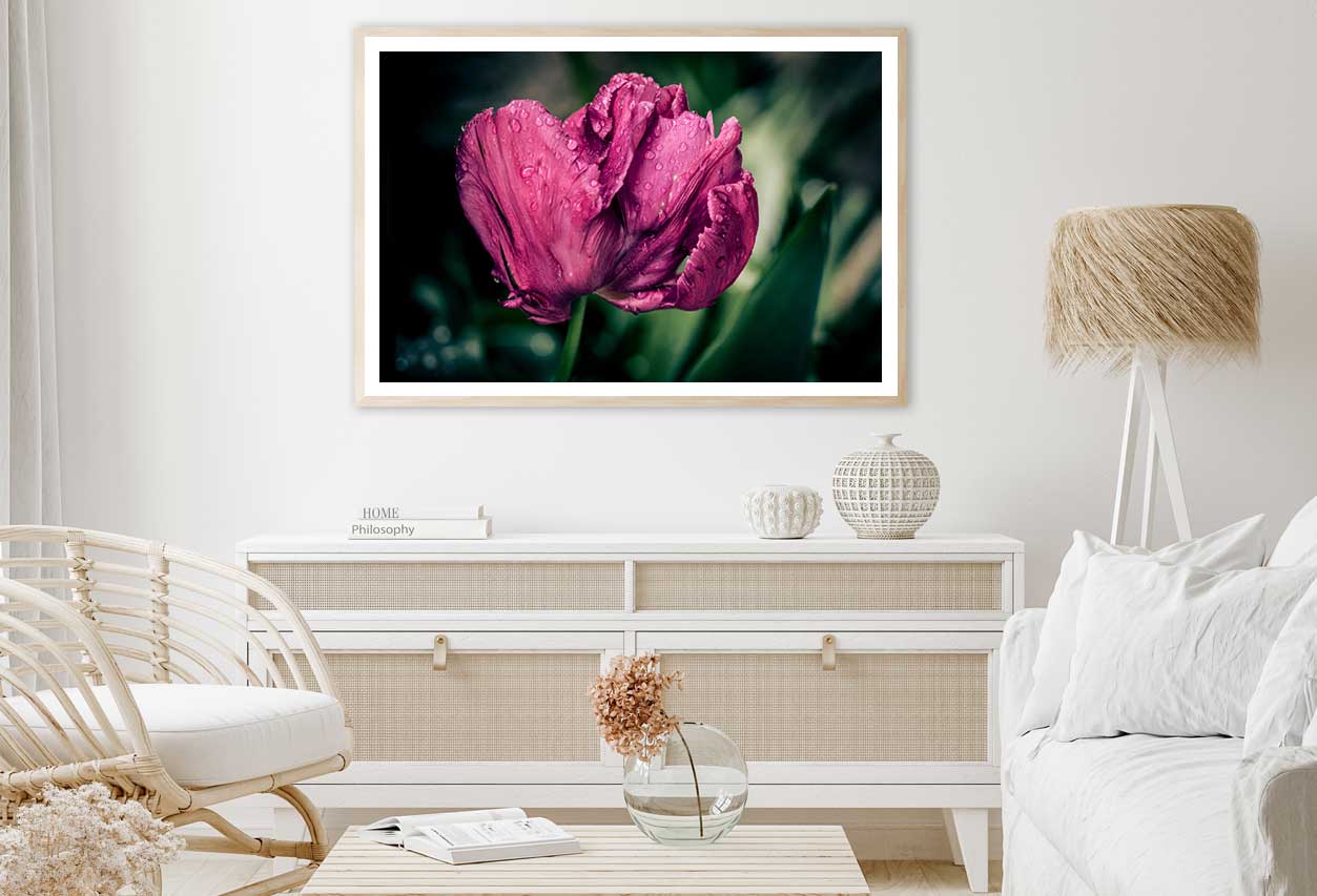 Maroon Tulip Flower Closeup View Photograph Home Decor Premium Quality Poster Print Choose Your Sizes