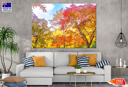 Yellow Orange Autumn Trees View Photograph Print 100% Australian Made