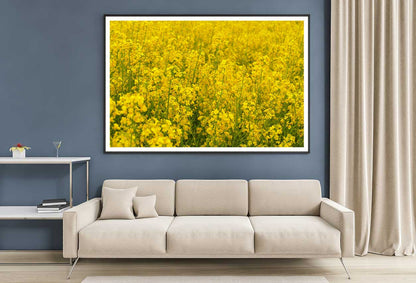 Wild Yellow Flower Field View Photograph Home Decor Premium Quality Poster Print Choose Your Sizes