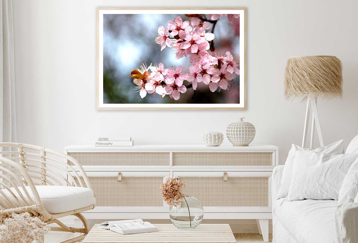 Pink Cherry Blossom Flowers View Photograph Home Decor Premium Quality Poster Print Choose Your Sizes