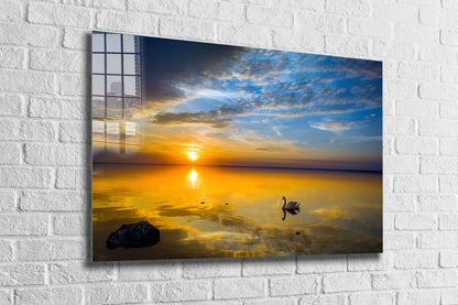 Swan on Lake Sunset Print Tempered Glass Wall Art 100% Made in Australia Ready to Hang