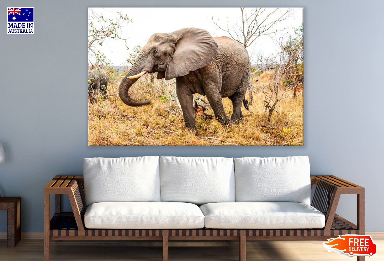 Elephant in Forest Closeup Photograph Print 100% Australian Made