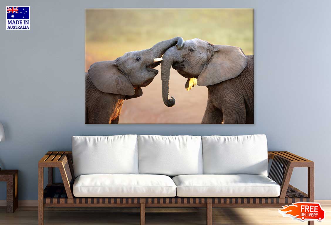 Elephants Closeup View Photograph Print 100% Australian Made