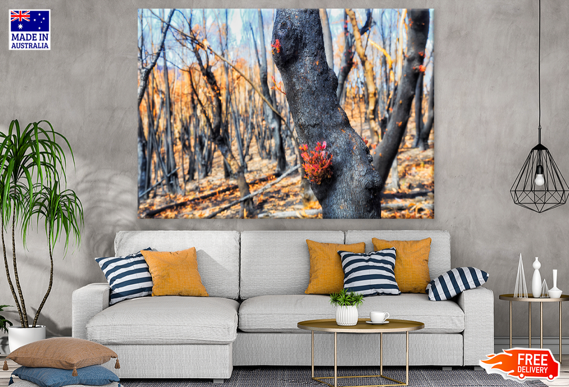 Hardwood Forest View Photograph Print 100% Australian Made