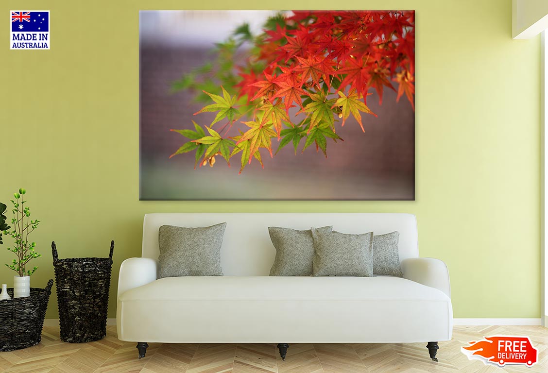 Colorful Tree Branch Closeup Photograph Print 100% Australian Made