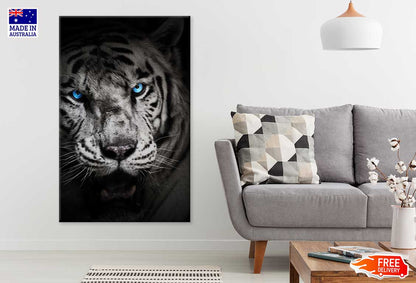 Blue Eyes Tiger Closeup Face B&W Photograph Print 100% Australian Made