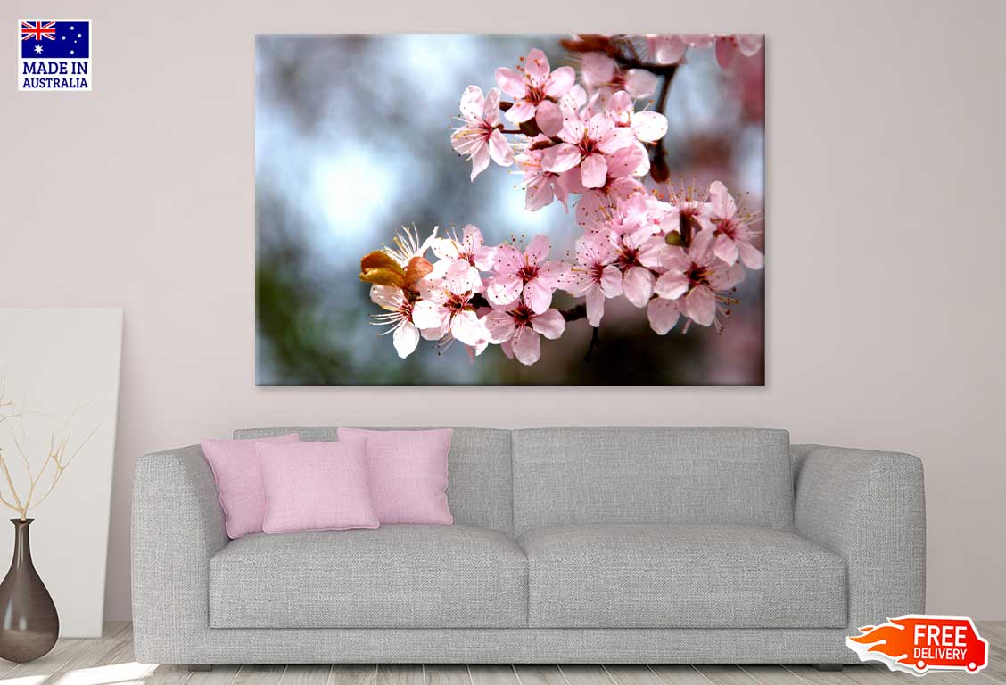 Pink Cherry Blossom Flowers View Photograph Print 100% Australian Made