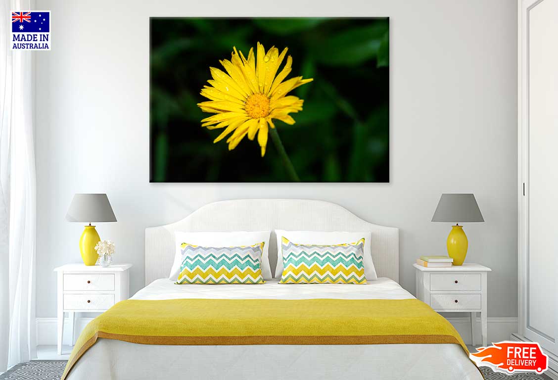 Water Droplet on Yellow Daisy Flower Photograph Print 100% Australian Made