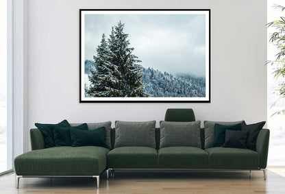 Snow on Pine Trees & Fogg View Photograph Home Decor Premium Quality Poster Print Choose Your Sizes