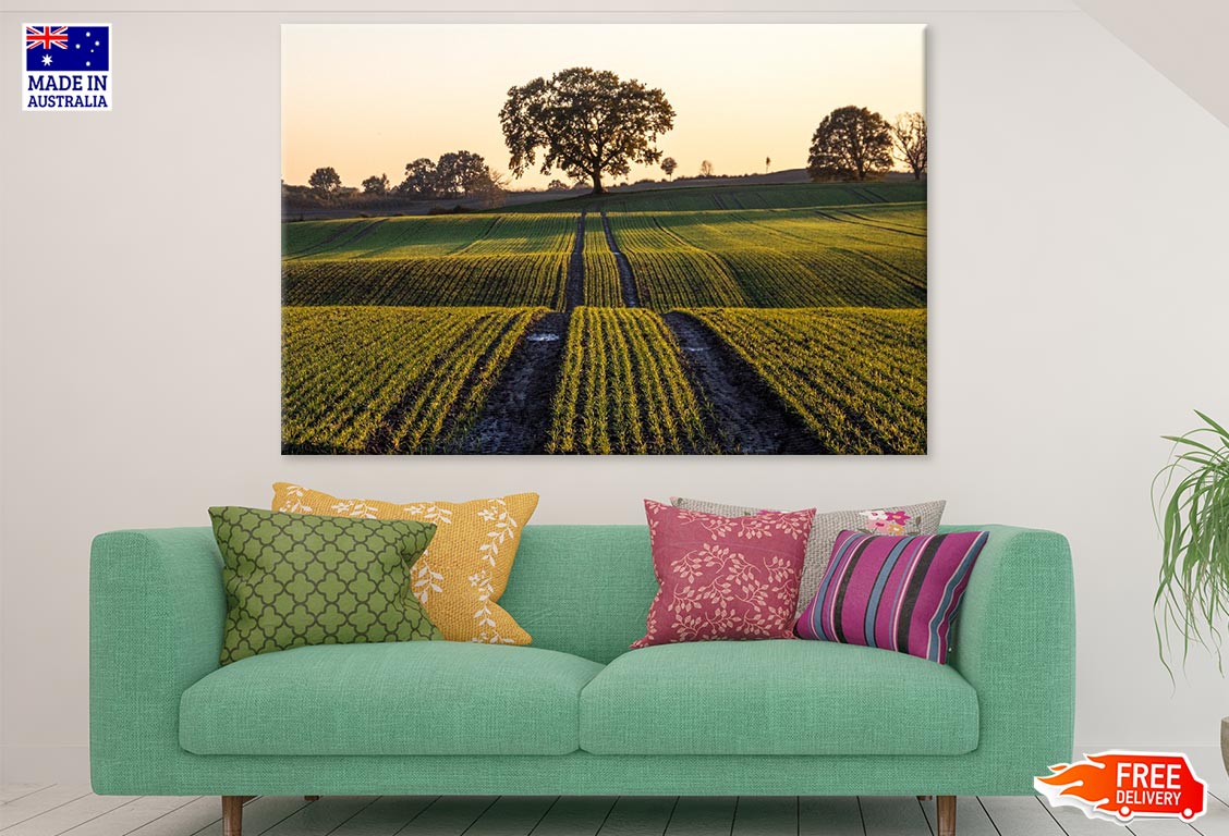 Trees on Field Scenery Photograph Print 100% Australian Made