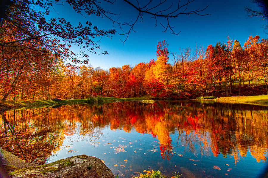 Red Autumn Trees Near Lake View Photograph Print 100% Australian Made