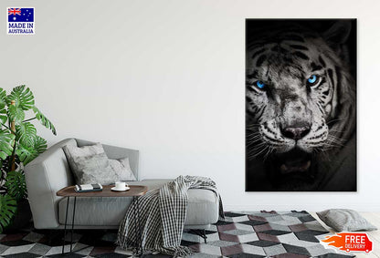 Blue Eyes Tiger Closeup Face B&W Photograph Print 100% Australian Made