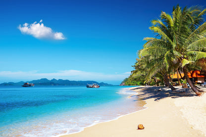 Bella Home Beach View With Palm Trees Print Canvas Ready to hang