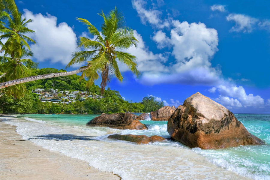 Rocks on Sandy Beach & Palm Trees View Photograph Print 100% Australian Made