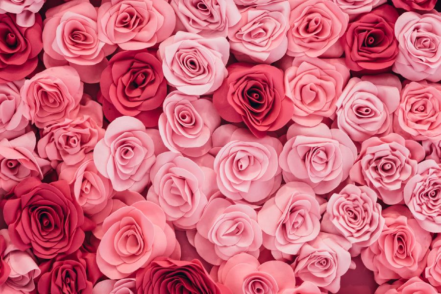 Red & Pink Roses Closeup View Photograph Home Decor Premium Quality Poster Print Choose Your Sizes