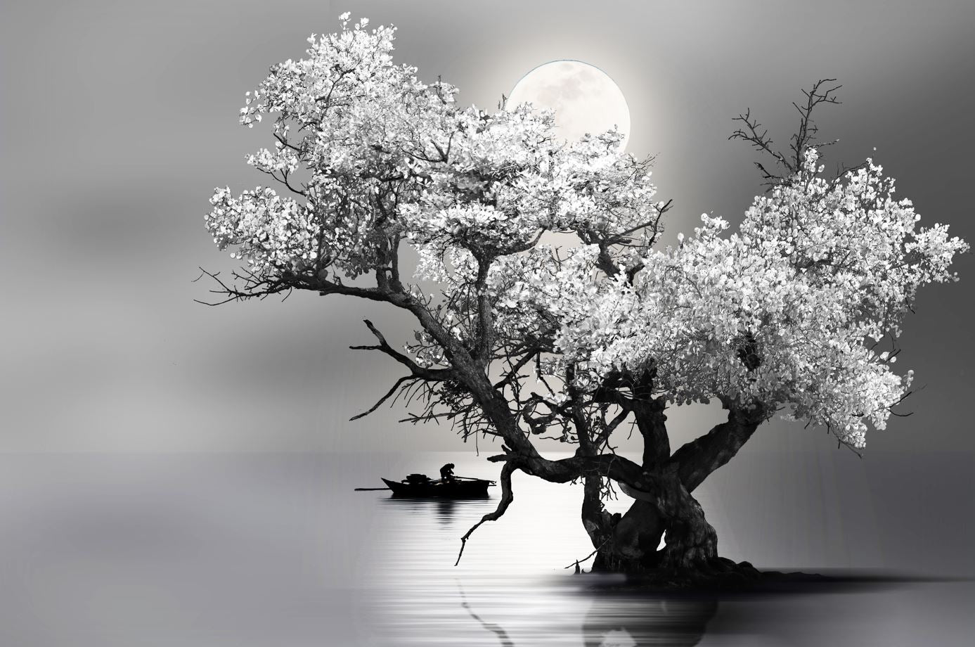 Tree on Lake Full Moon Night B&W View Photograph Print 100% Australian Made