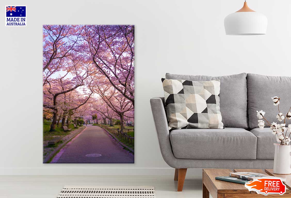 Cherry Blossom Trees Road Scenery View Print 100% Australian Made